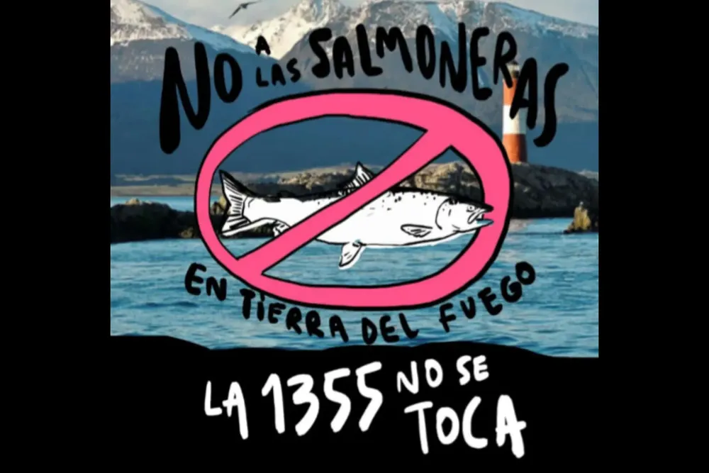 Ruidazo SALMONERAS