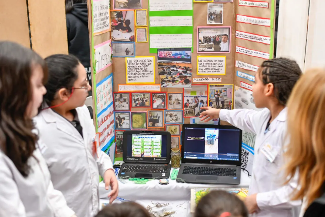 18 proyectos pasaron a las instancias nacionales de la Feria de Arte ...