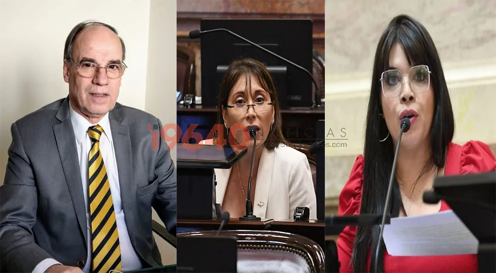 Senadores TDF