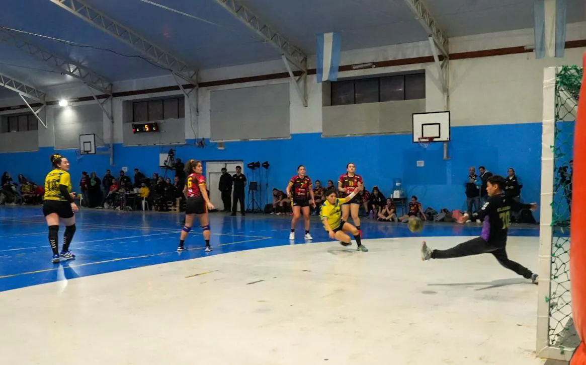 Torneo Patagónico de handball