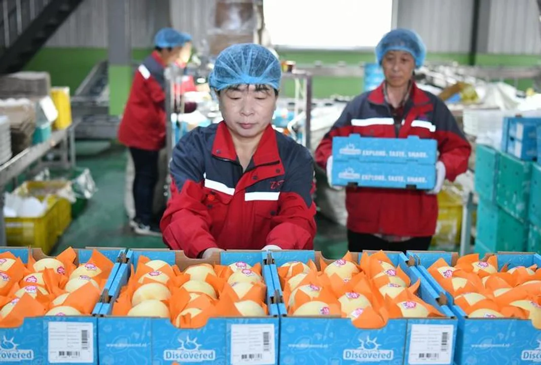 china exporta peras
