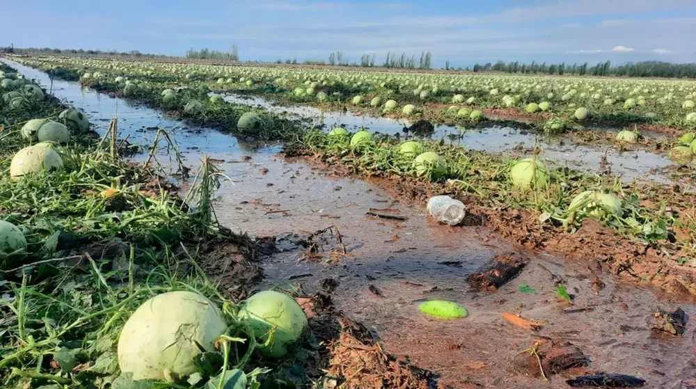 Emergencia agropecuaria