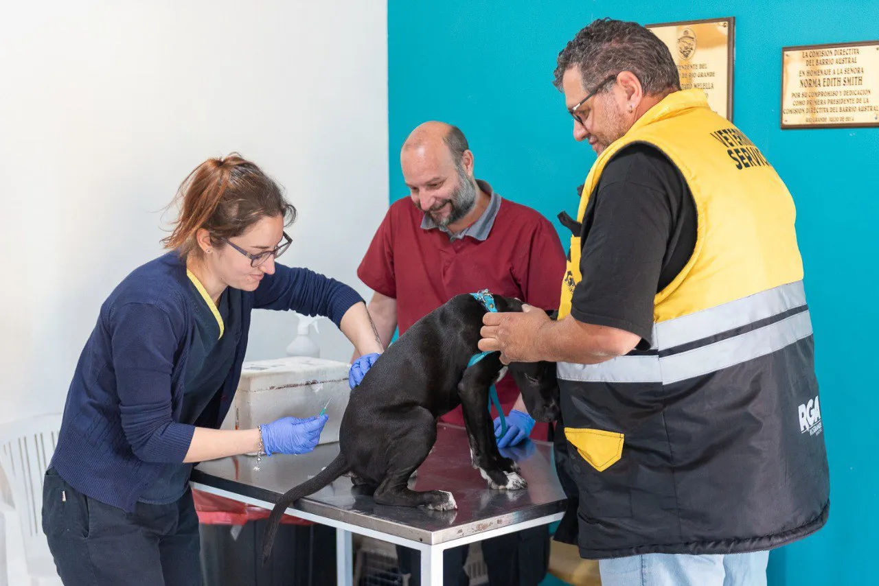 JORNADA VACUNACIÓN Y CHIPEO