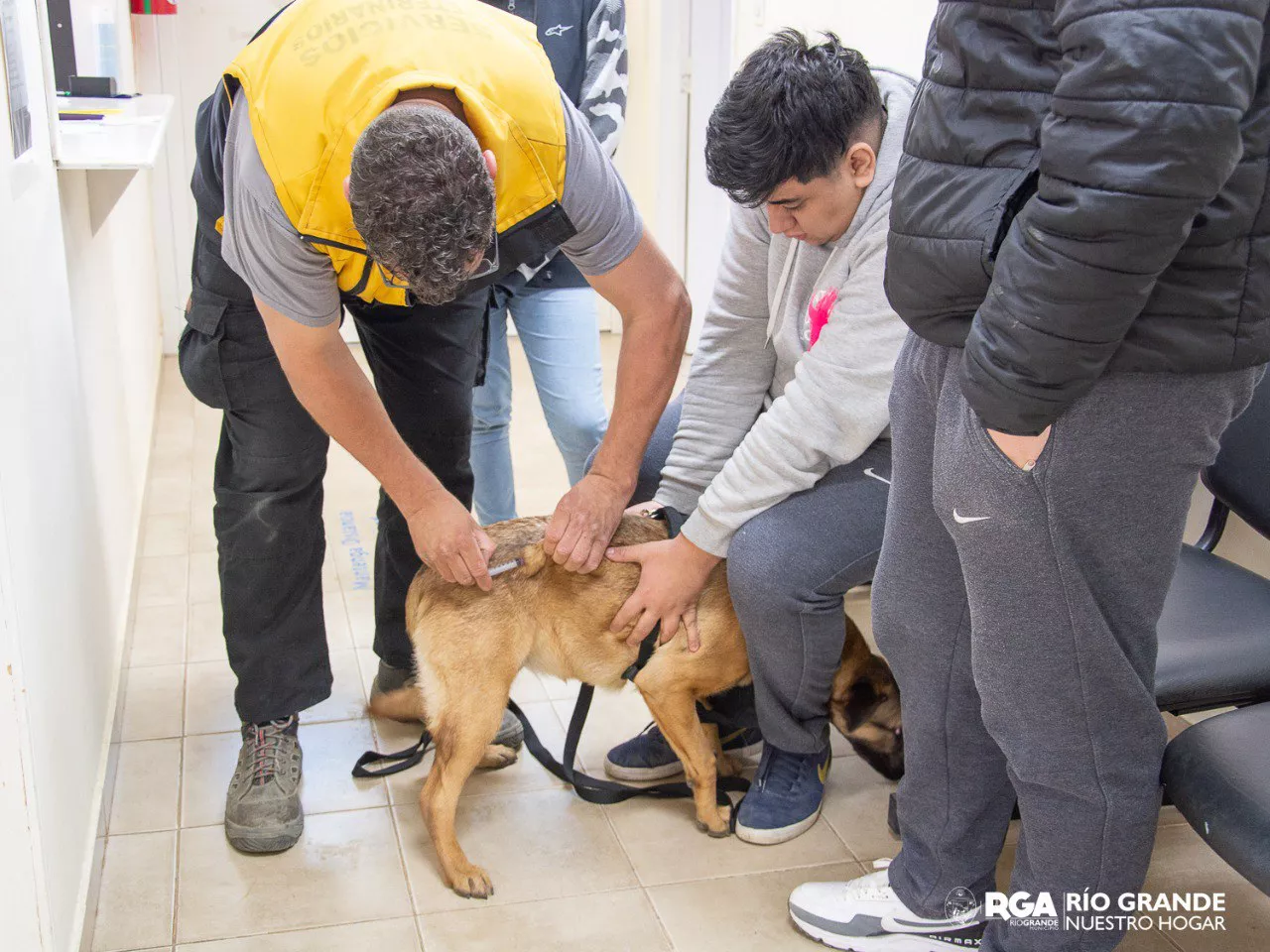 Vacuna Antirrábica RGA Mascotera