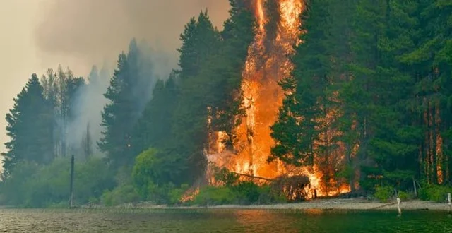 Incendios Chubut