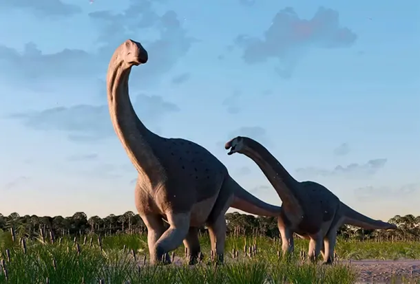 titanosaurio-chubutjpg