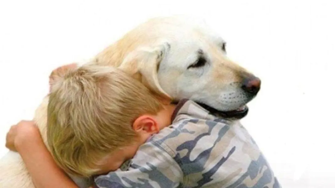 pirotecnia, perro, niño