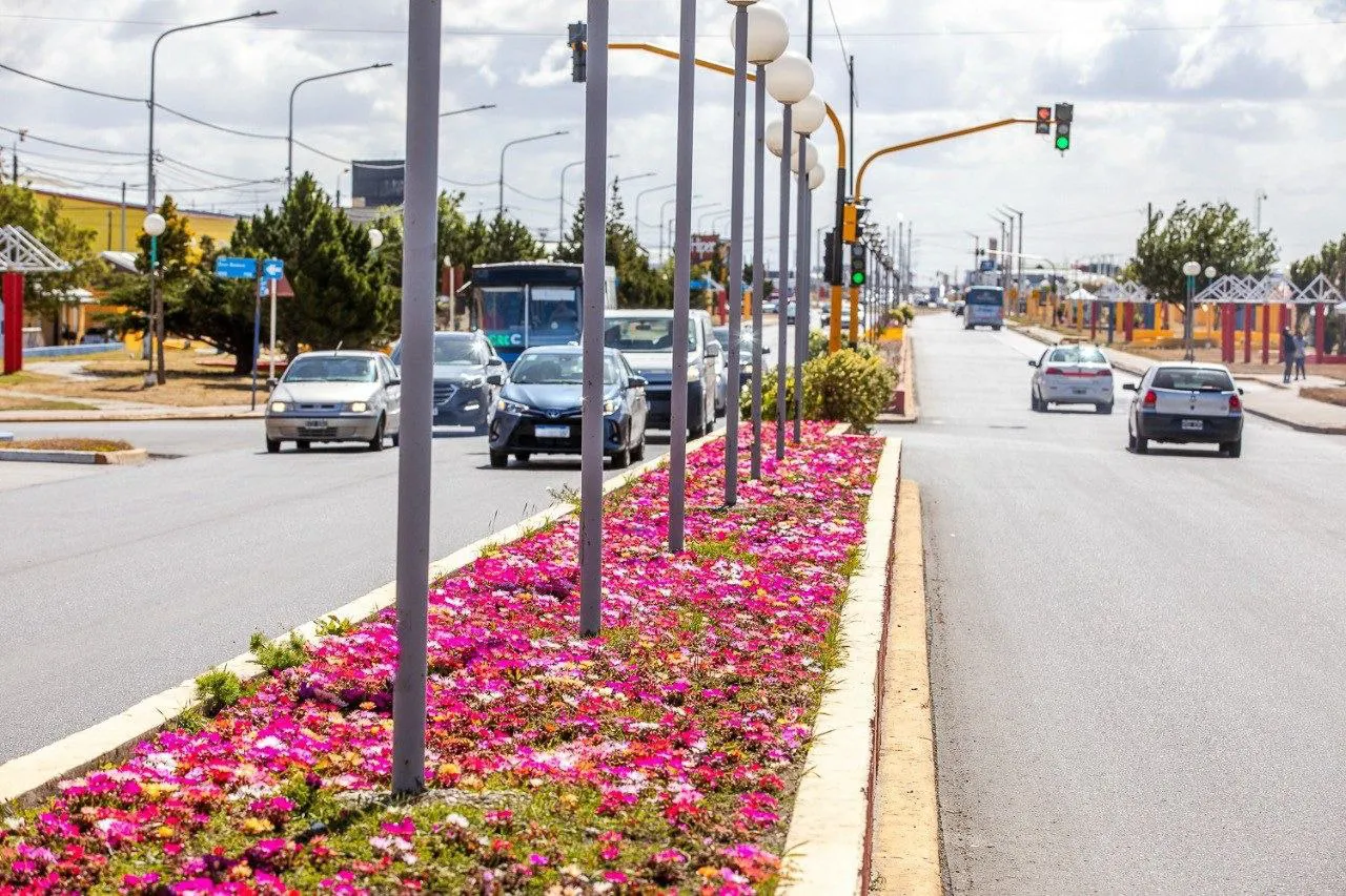 plantines río grande