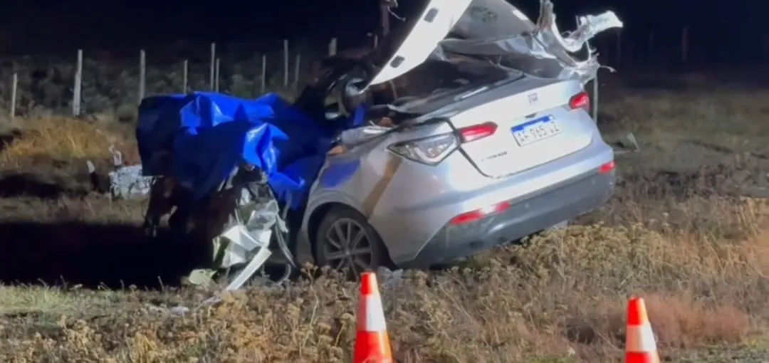 Vehículo argentino, choque en la ruta