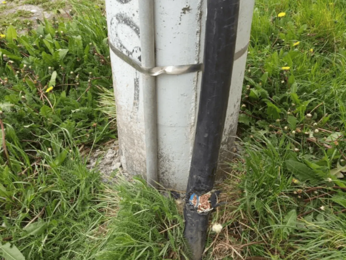 826641cd-9c20-4089-b129-413329dbc1a4 (1)