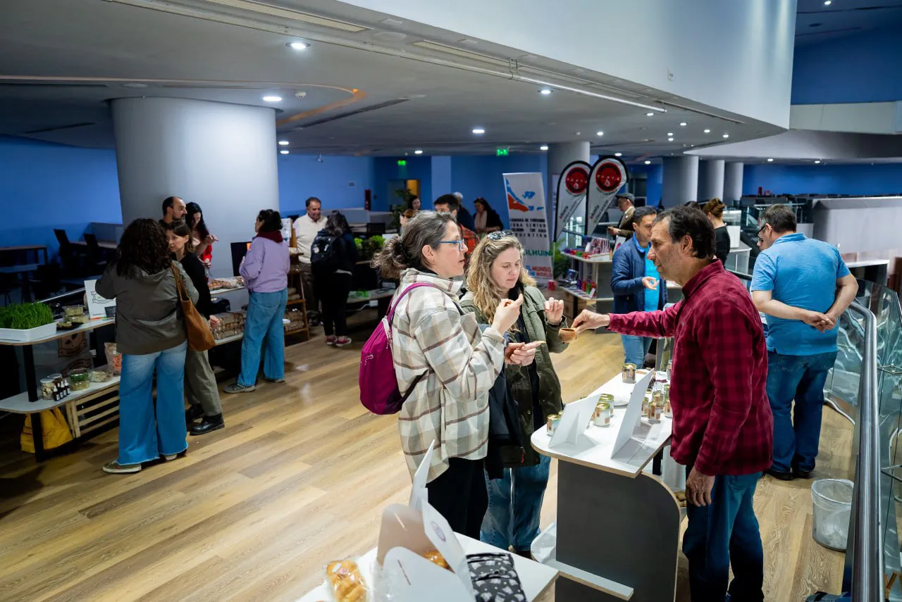 Infuetur, pymes, Gobierno