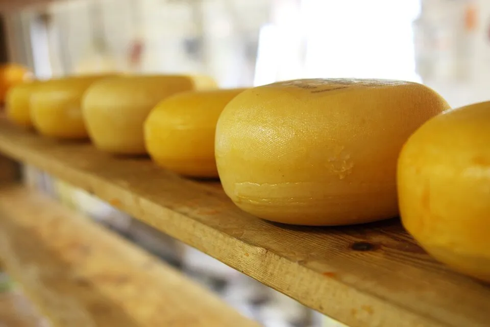 Queso