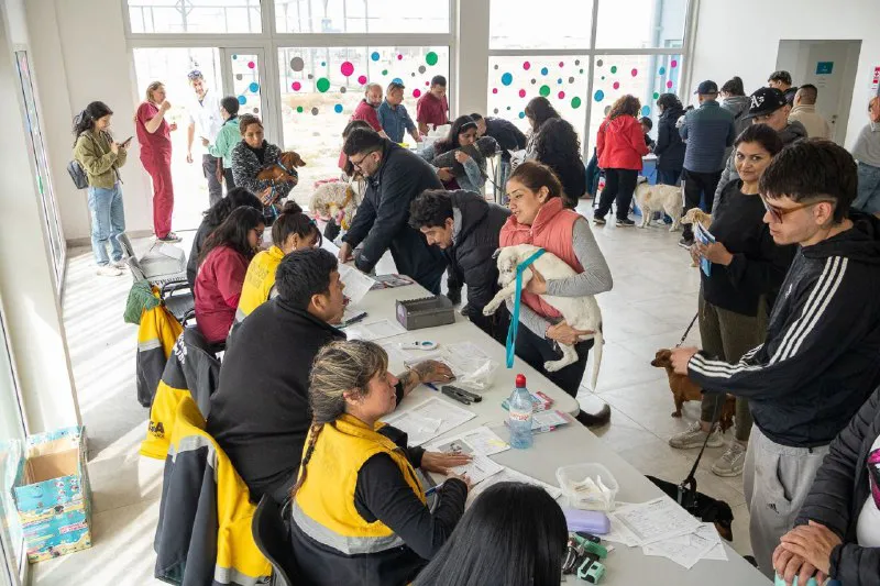 Jornada de vacunación y chipeo