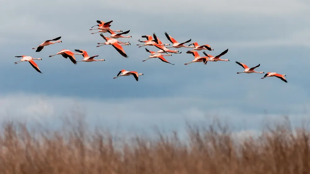 K45QQW3CRVHQZIMCZO3ZDGBLFI