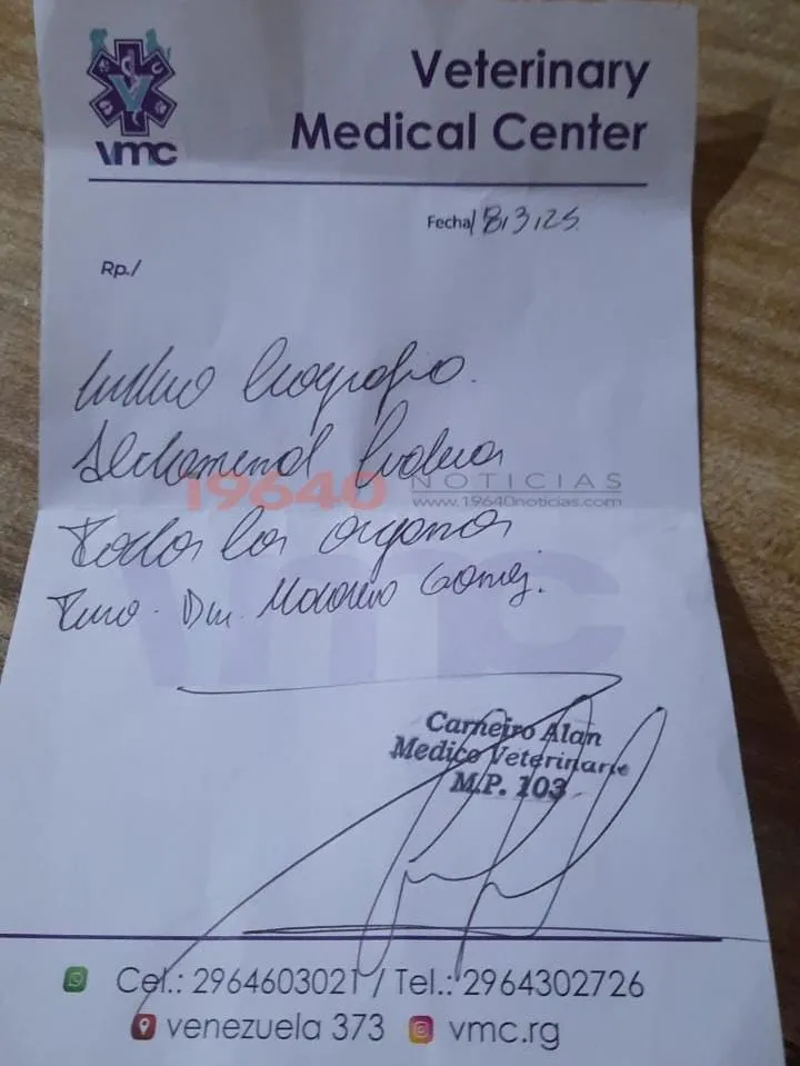 WhatsApp Image 2025-03-18 at 20.31.06 (1)