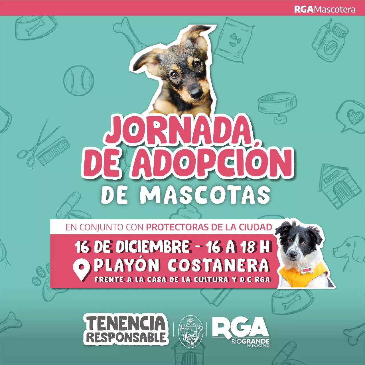 1a782bf0-f9fc-4e48-9306-b085588d2d22