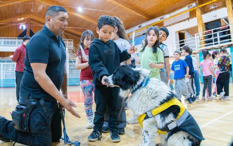 Tenencia responsable de Mascotas 