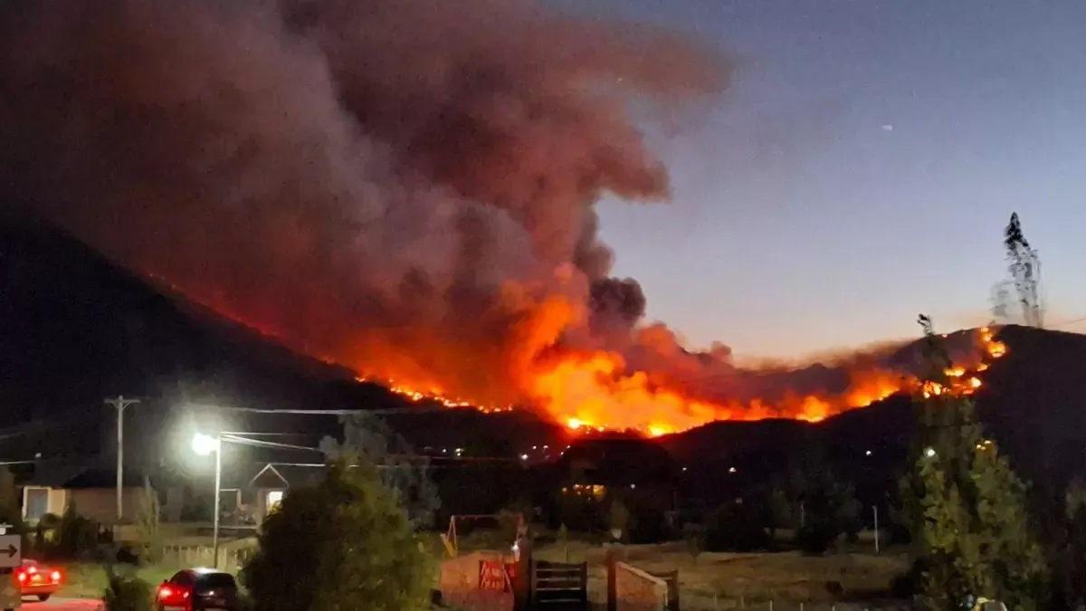 Incendio forestal Puerto Patriada- Chubut