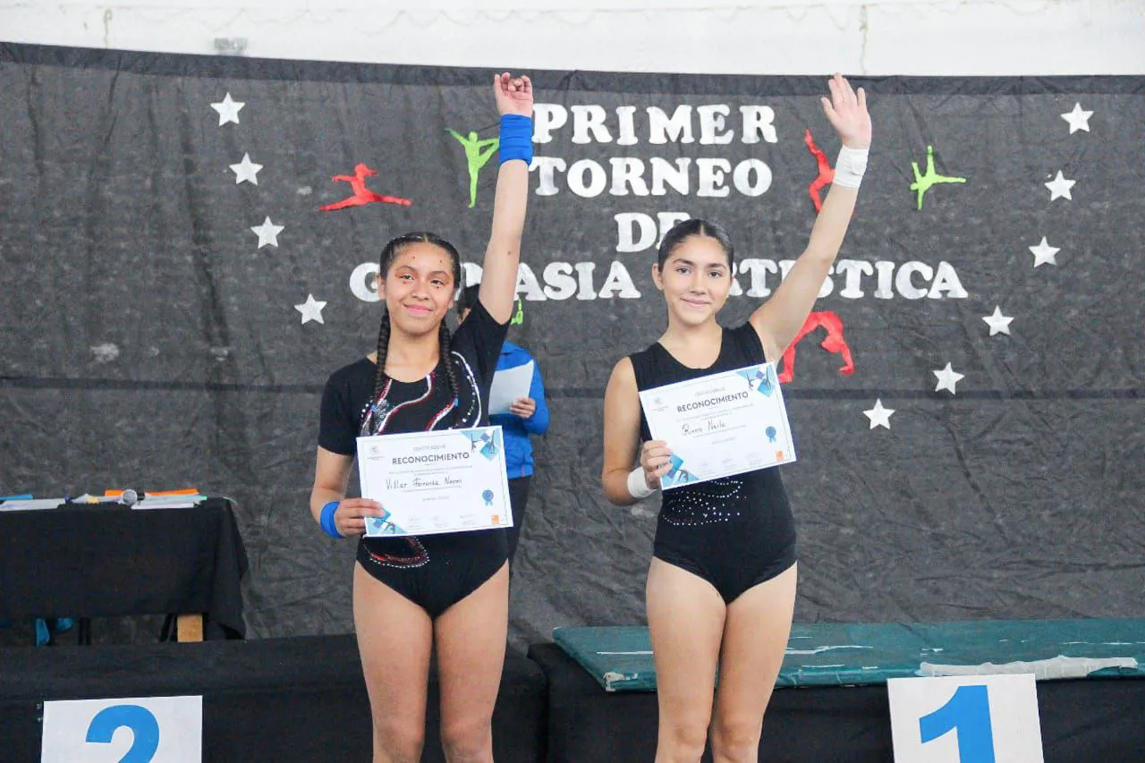 gimnasia artistica