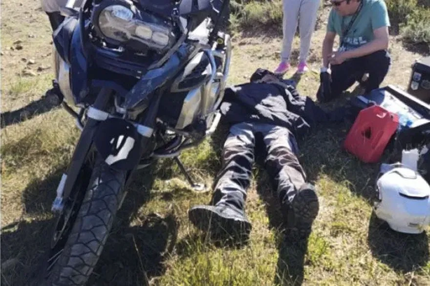 Turista chocó contra un guanaco 