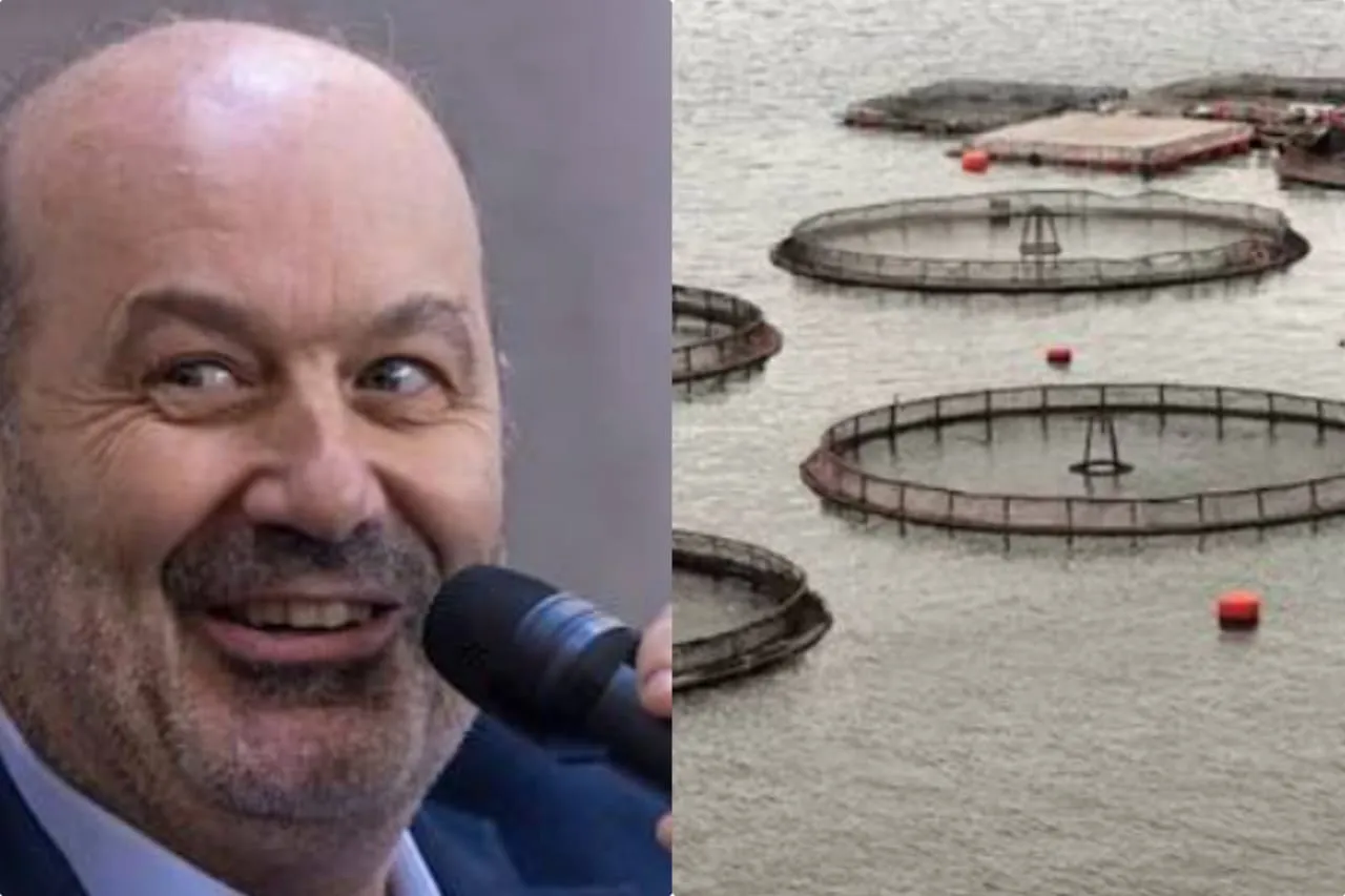 Sturzenegger- Salmoneras